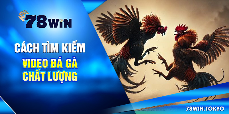 Cách tìm kiếm video đá gà chất lượng