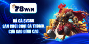 Đá Gà SV388 – Sân Chơi Chọi Gà Thomo, Cựa Dao Đỉnh Cao