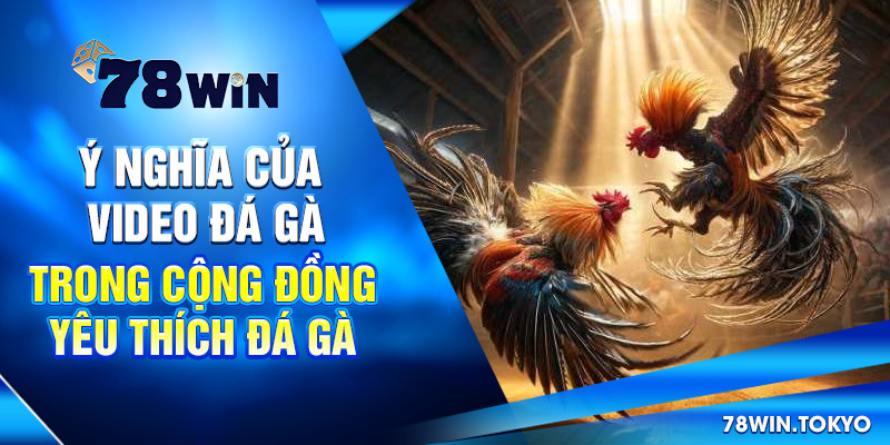 Ý nghĩa của video đá gà trong cộng đồng yêu thích đá gà