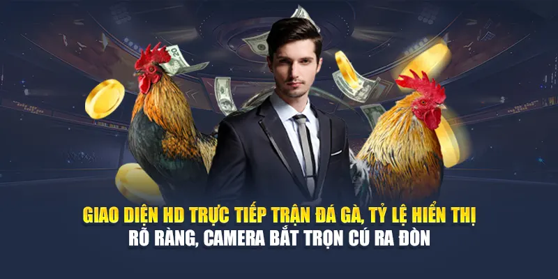 Cược Gà Một Cựa Tại 78WIN Sân Chơi Uy Tín, Tỷ Lệ Cao 6 Giao diện HD trực tiếp trận đá gà, tỷ lệ hiển thị rõ ràng, camera bắt trọn cú ra đòn